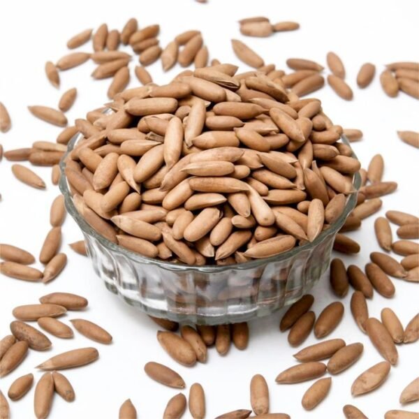 chilgoza or PINENUTS